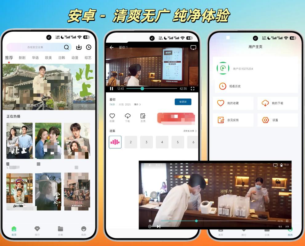 百娱影院的相关介绍