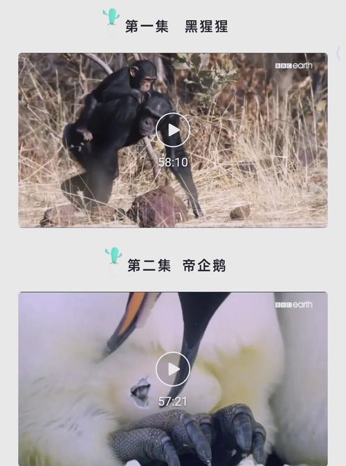 人妻文的相关介绍