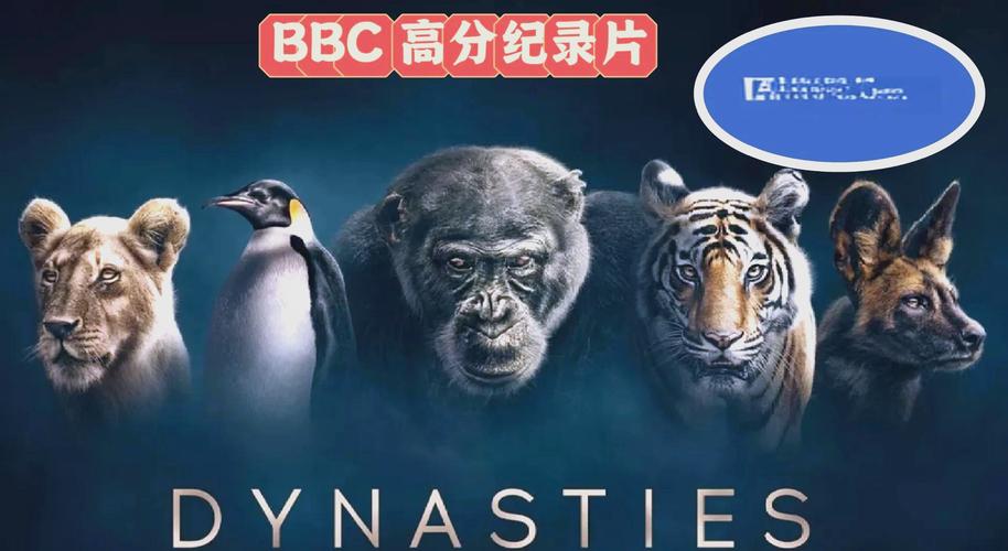 成人做爰毛片的相关介绍