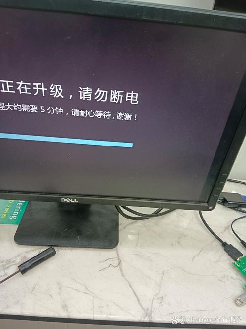 成年人该看的毛片的相关介绍
