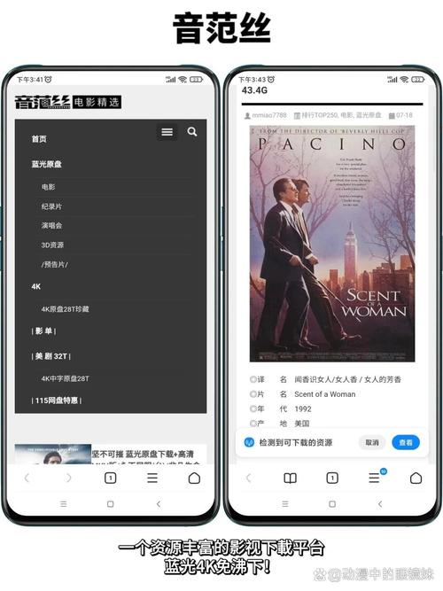 韩国r级2021羞羞影院的相关介绍