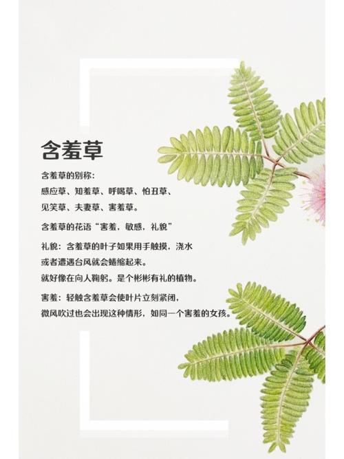 三级人妻少妇久久的相关介绍