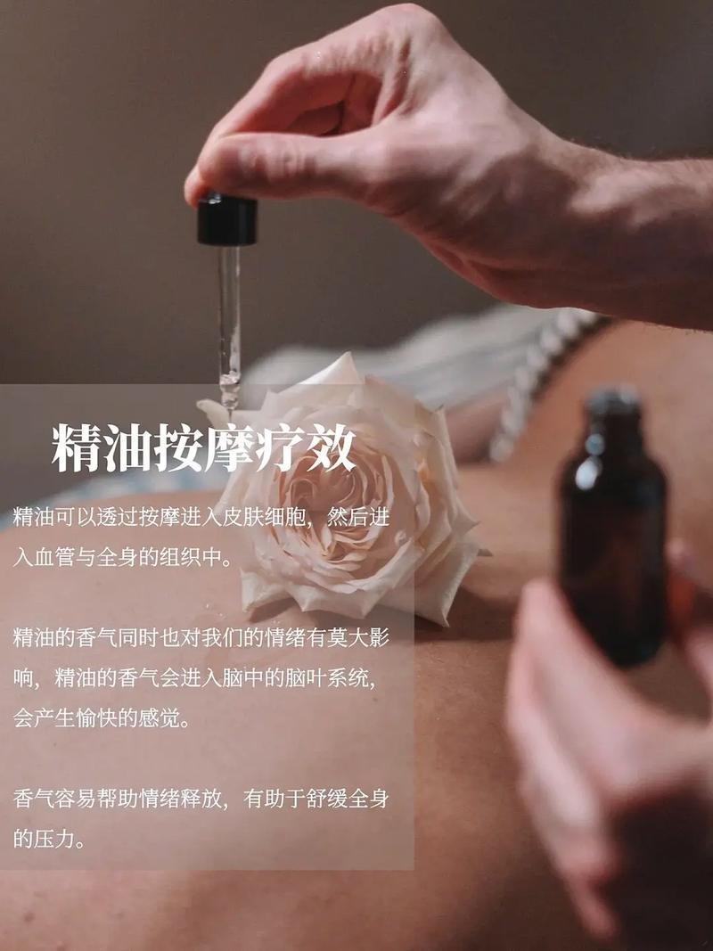 将夜免费神马影院的相关介绍
