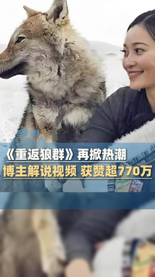 佐山爱dgc大尺度写真集的相关介绍