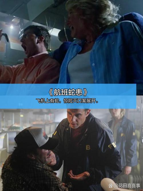 金逸电影院官网的相关介绍