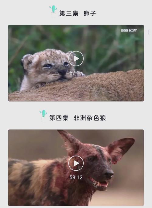 一边摸一边爽的相关介绍