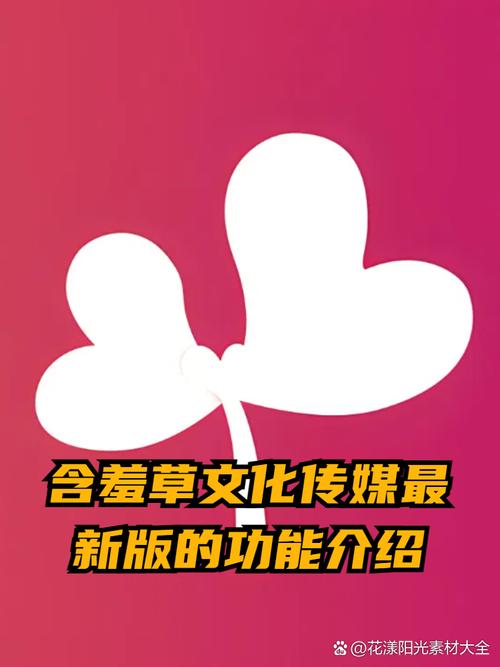 啪啪啪啪啪伦理的相关介绍