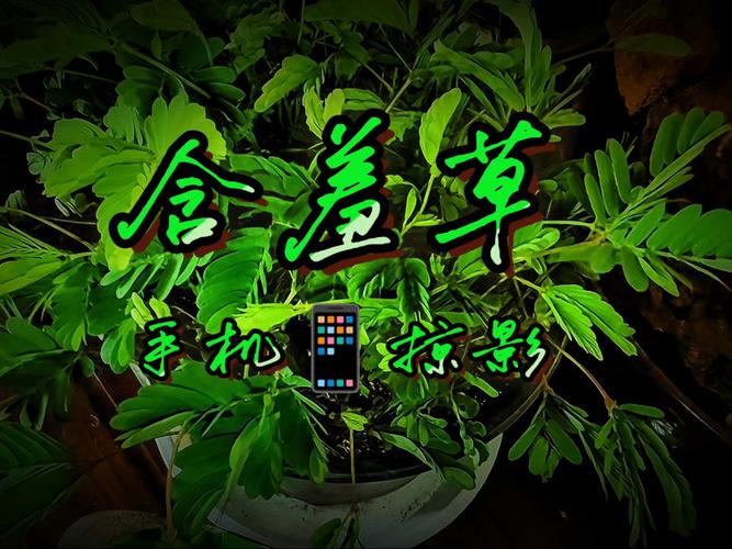 18禁在线网站免费的相关介绍