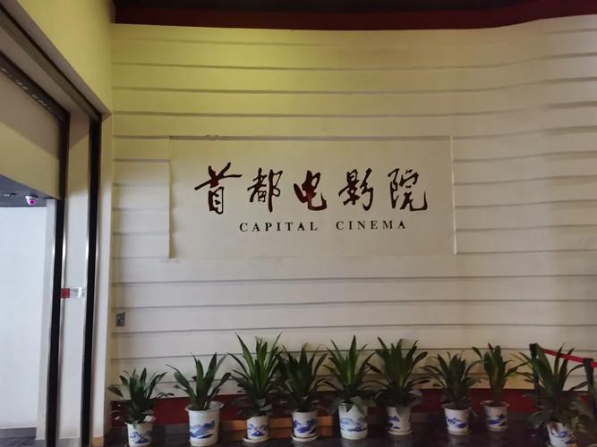 芒果tv影院的相关介绍