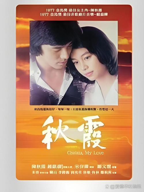 达达兔2018影院的相关介绍