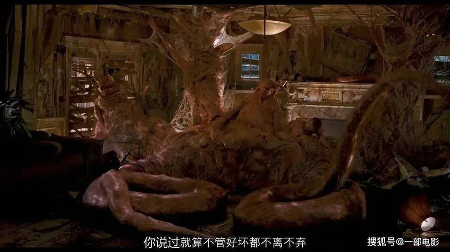 影院网站的相关介绍