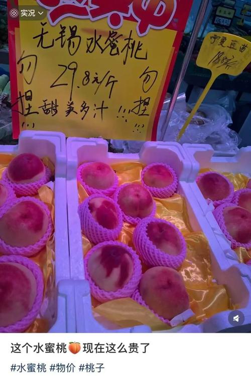 a片影院的相关介绍