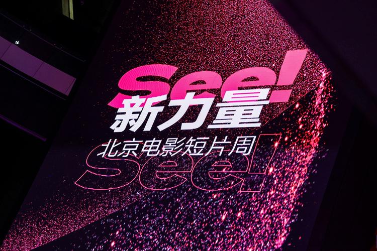 欧美一区二区三区久久久的相关介绍