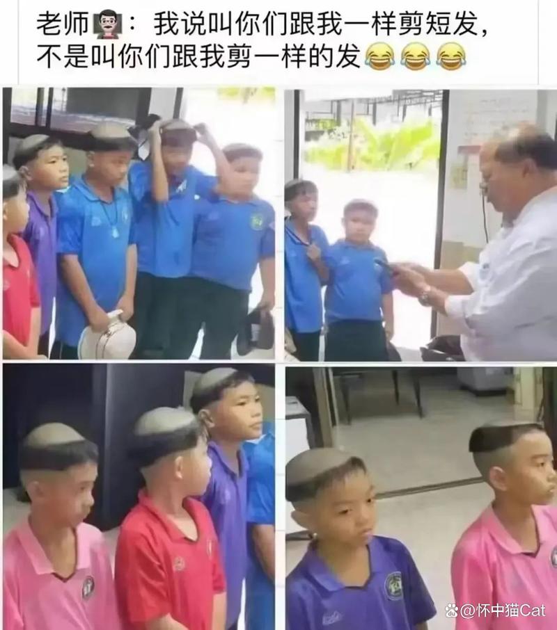 亚洲精品综合在线影院的相关介绍