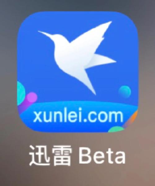 秀夜影院的相关介绍