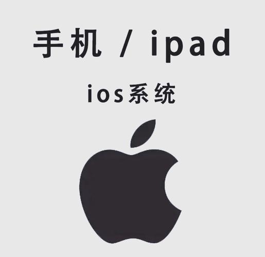 好色电影院的相关介绍