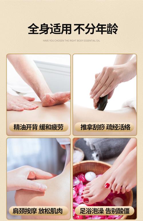 成年人亚洲毛片的相关介绍