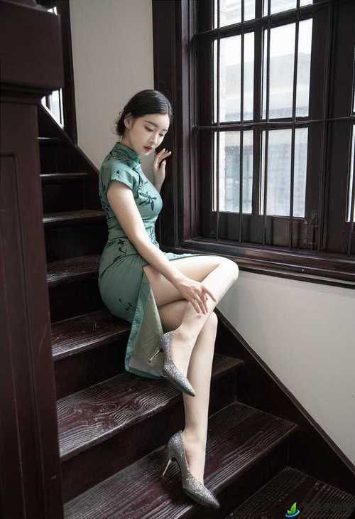 人妻少妇精品中文字幕av的相关介绍