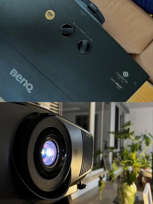 x站视频app下载的相关介绍