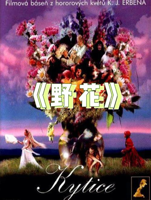 处女的呻吟在线观看的相关介绍