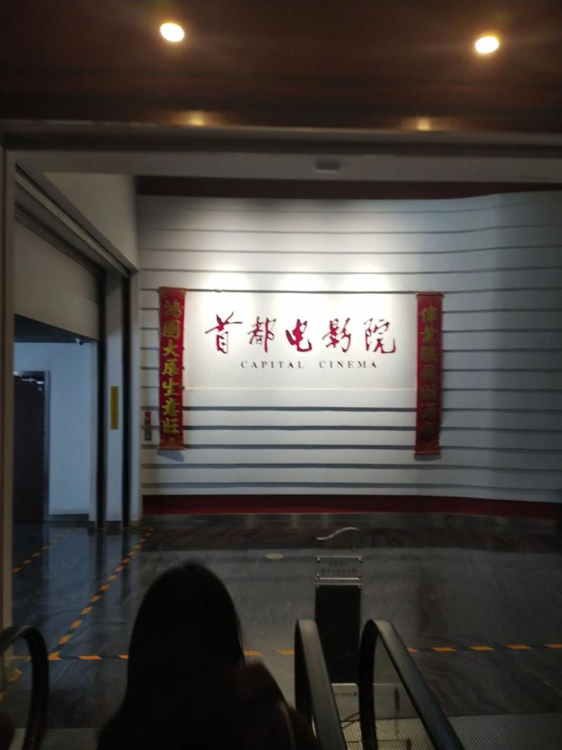 老湿影院小影看的相关介绍