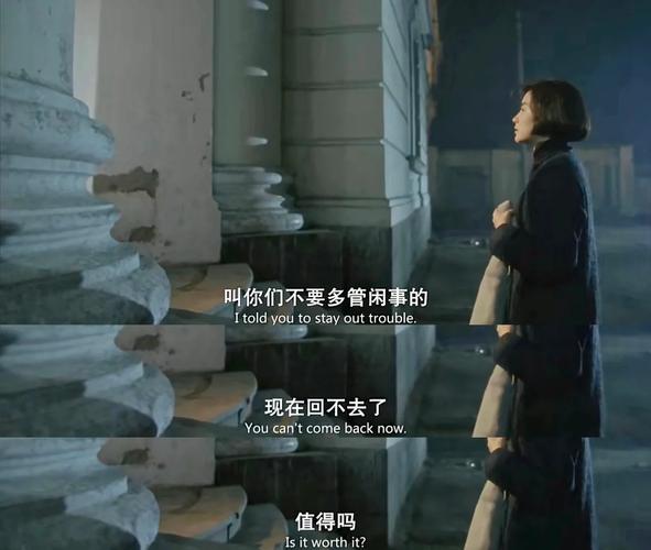 高清成人影院的相关介绍