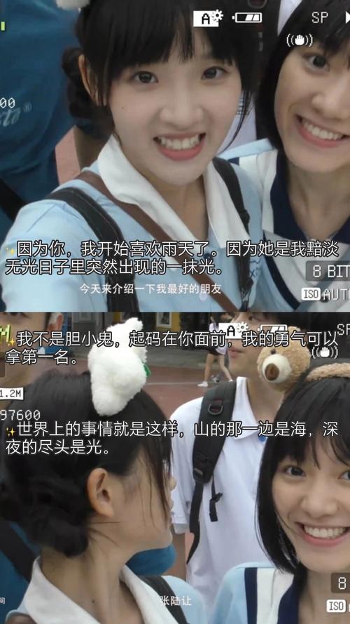 久久久精品区的相关介绍