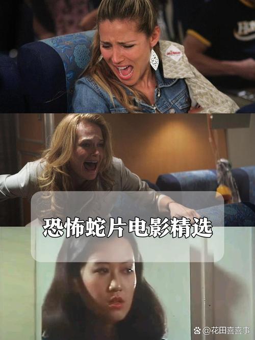 五道口工人俱乐部电影院的相关介绍