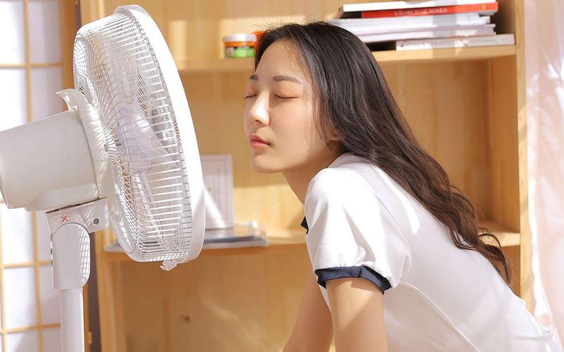 一区二区免费视频va的相关介绍