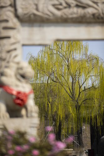 精品久久久久久9的相关介绍