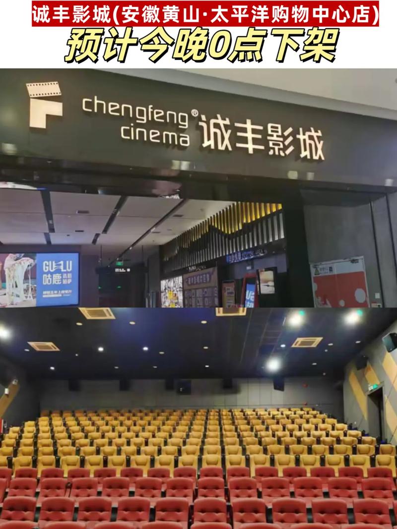 一级片熟女的相关介绍
