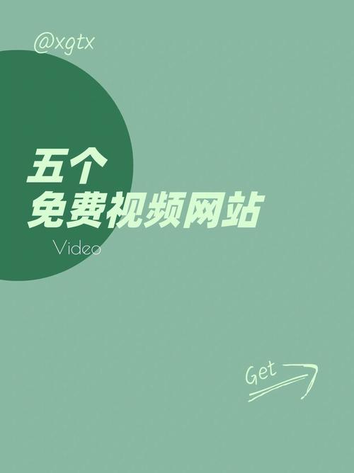 调教奴妻高h的相关介绍