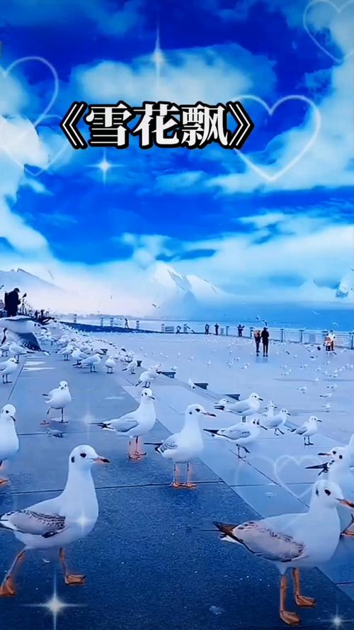 动漫操比的相关介绍