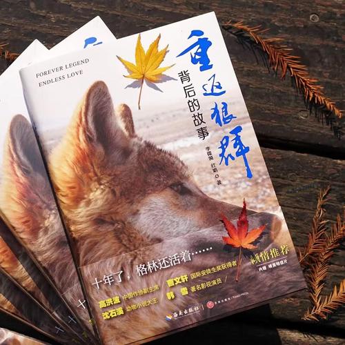 天堂av色久悠悠的相关介绍