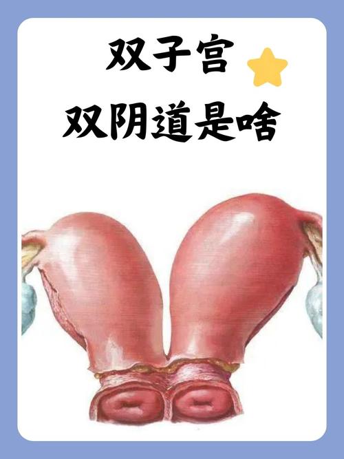 国产国语av毛片在线看的相关介绍