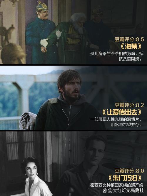 精品久久精品久的相关介绍