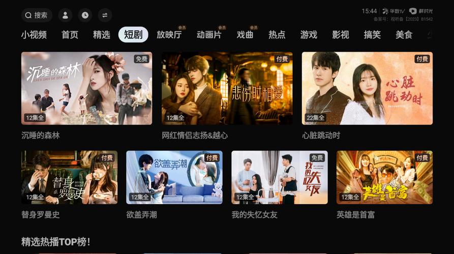 成人影院a在现看免费的相关介绍