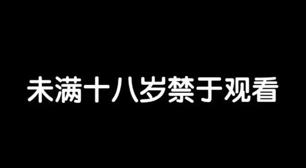 2828电影海鸥影院的相关介绍