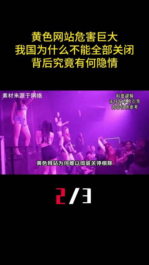 国产精品99久久久久久人的相关介绍