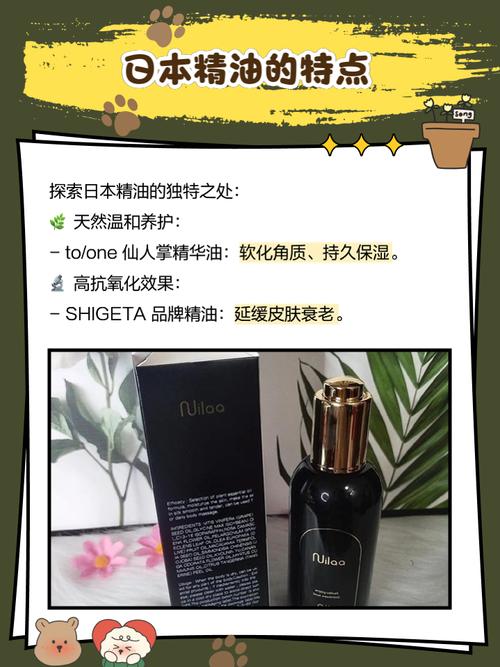 我操了美女老师的相关介绍