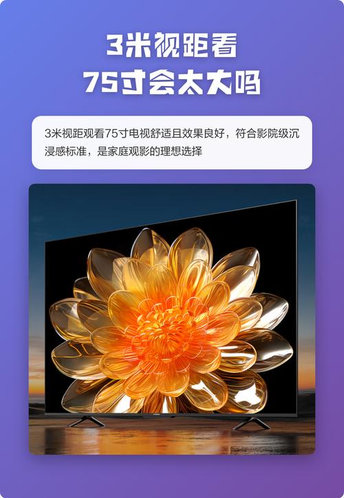 久久久这里有的精品的相关介绍