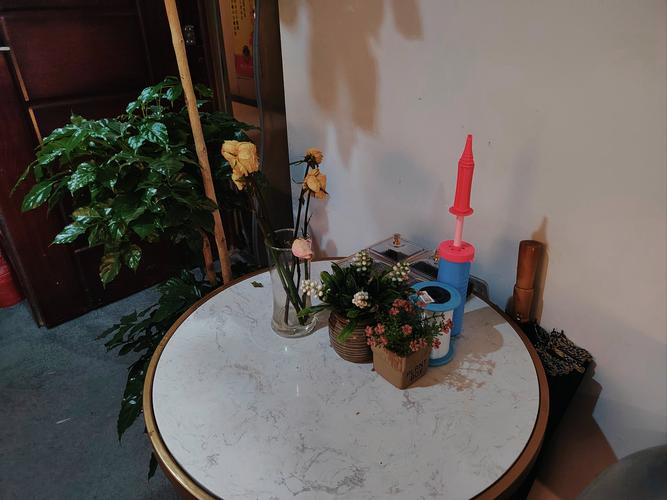 国模大尺度艺术写真的相关介绍