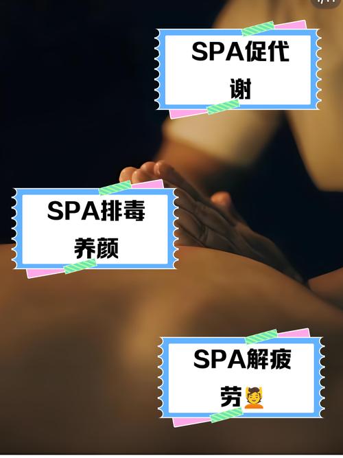 成人欧美精品在线视频的相关介绍