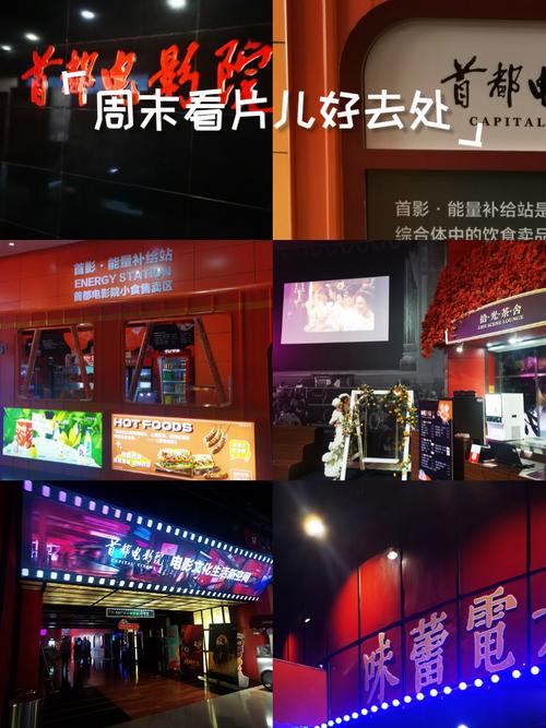 男女动漫高h的相关介绍