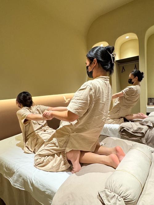 丰满少妇av在线的相关介绍