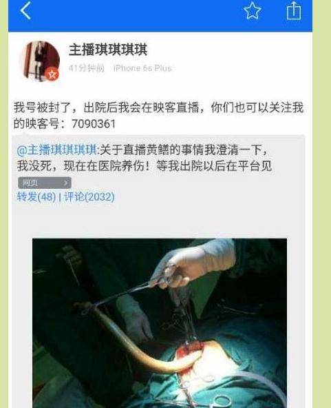 摸老师逼逼的相关介绍