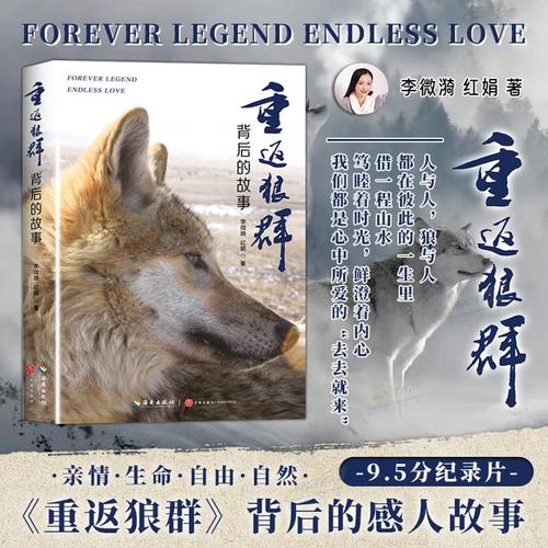 伦理片《人妻体验按摩》中婚姻与欲望的微妙界限，家庭主妇情感探索的深层解读