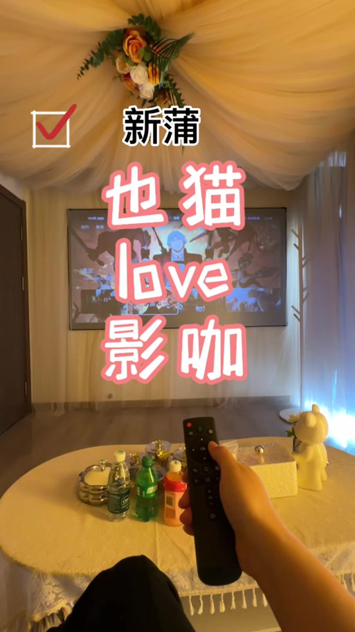 奇趣影院的相关介绍