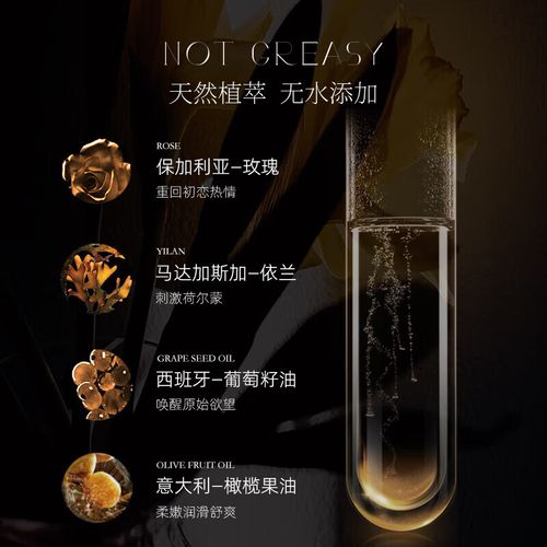 日韩欧美一区二区三区不学的相关介绍