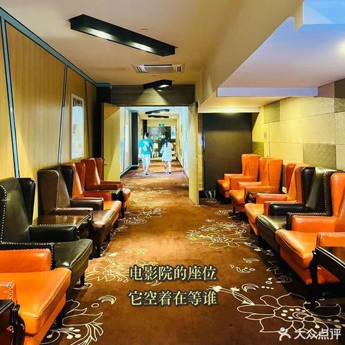 老司机影院免费海量高清视频的相关介绍